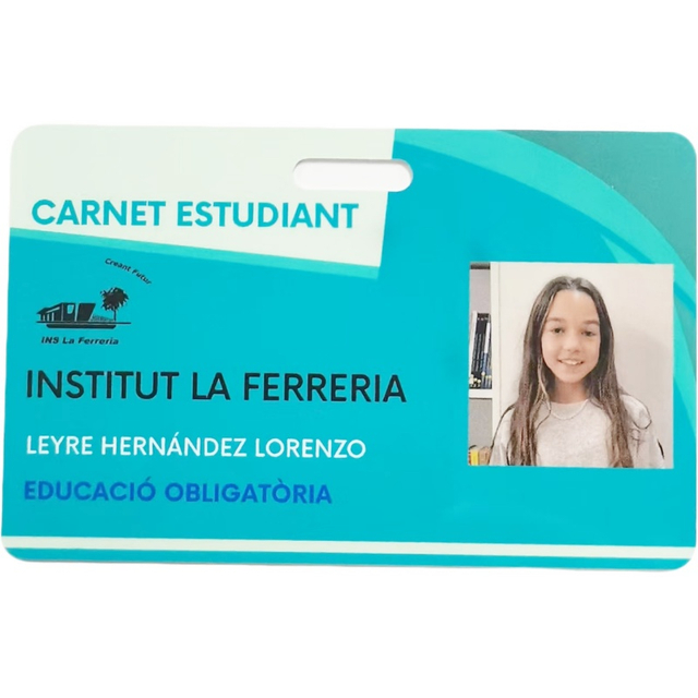 Custom Photo Printing Waterproof PVC Employee School Student ID Cards