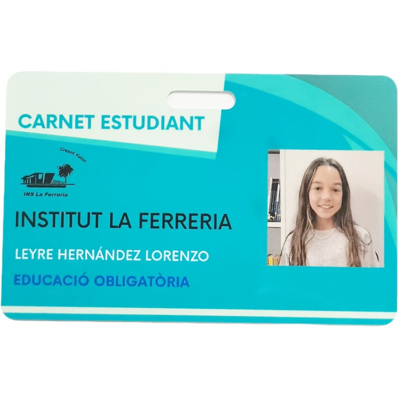 Custom Photo Printing Waterproof PVC Employee School Student ID Cards